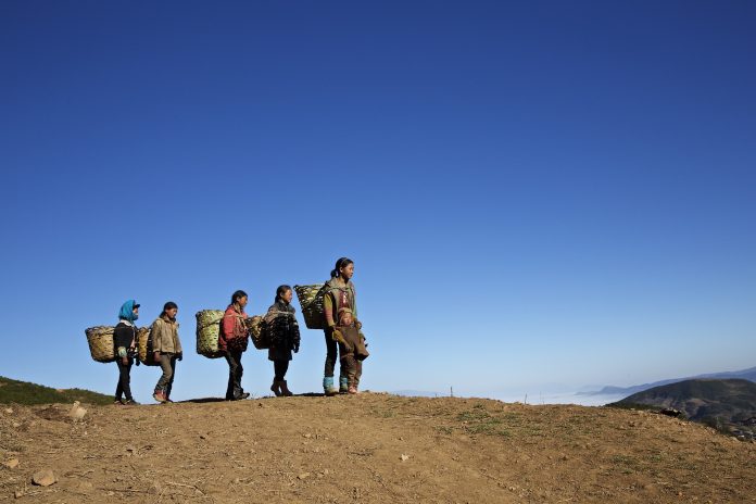 sichuan-liangshan-yi-1908312_1920