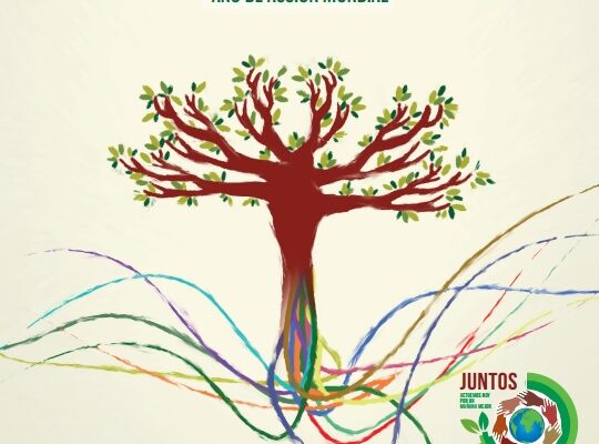 JUNTOS: Campaña Mundial de Caritas Internationalis