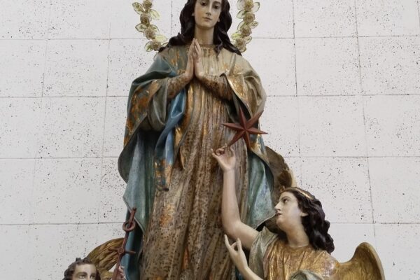 La Inmaculada Concepción, patrona diocesana