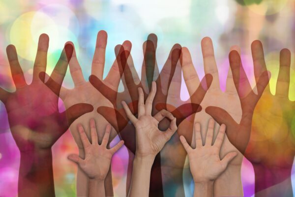 Voluntariado