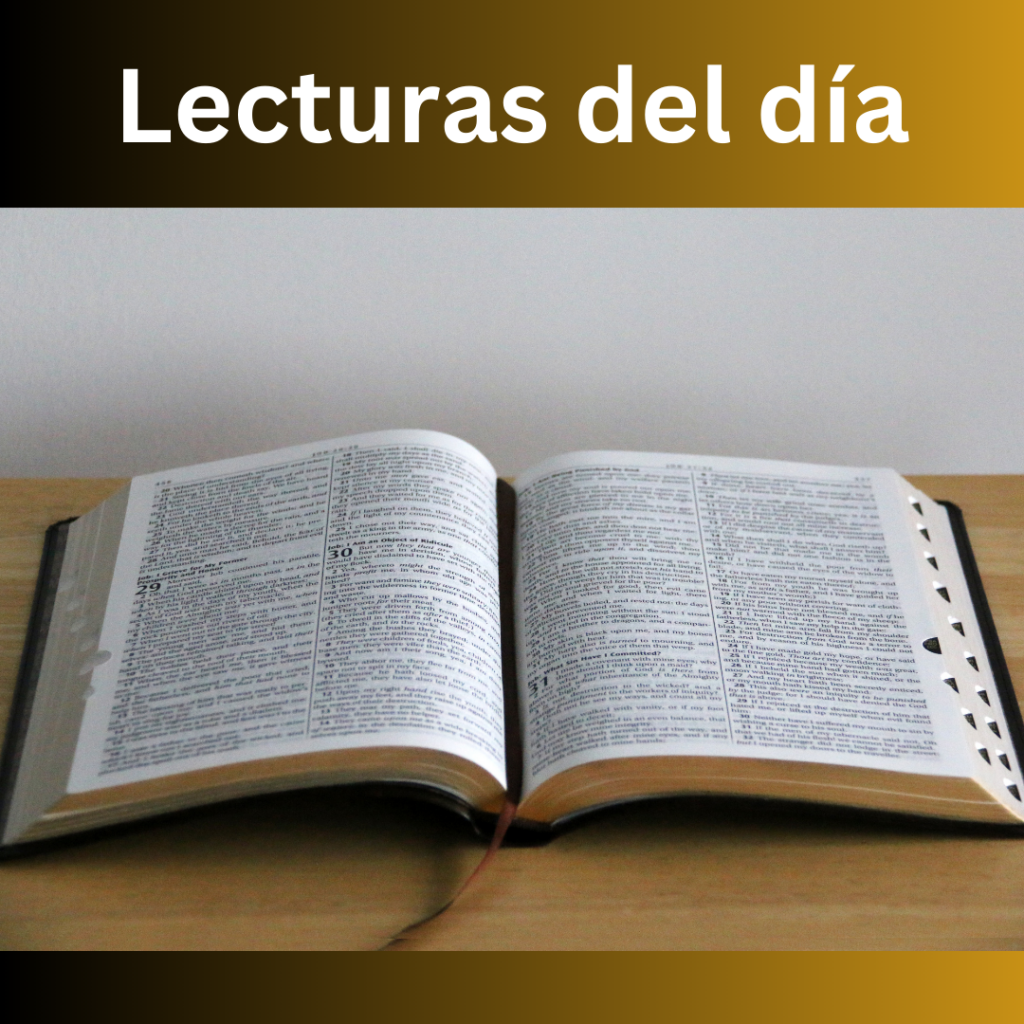 Lecturas del día